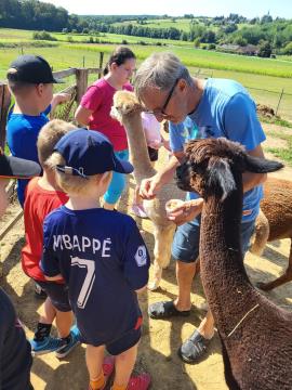V Peterlougu pripravili 2. poletne počitnice 17